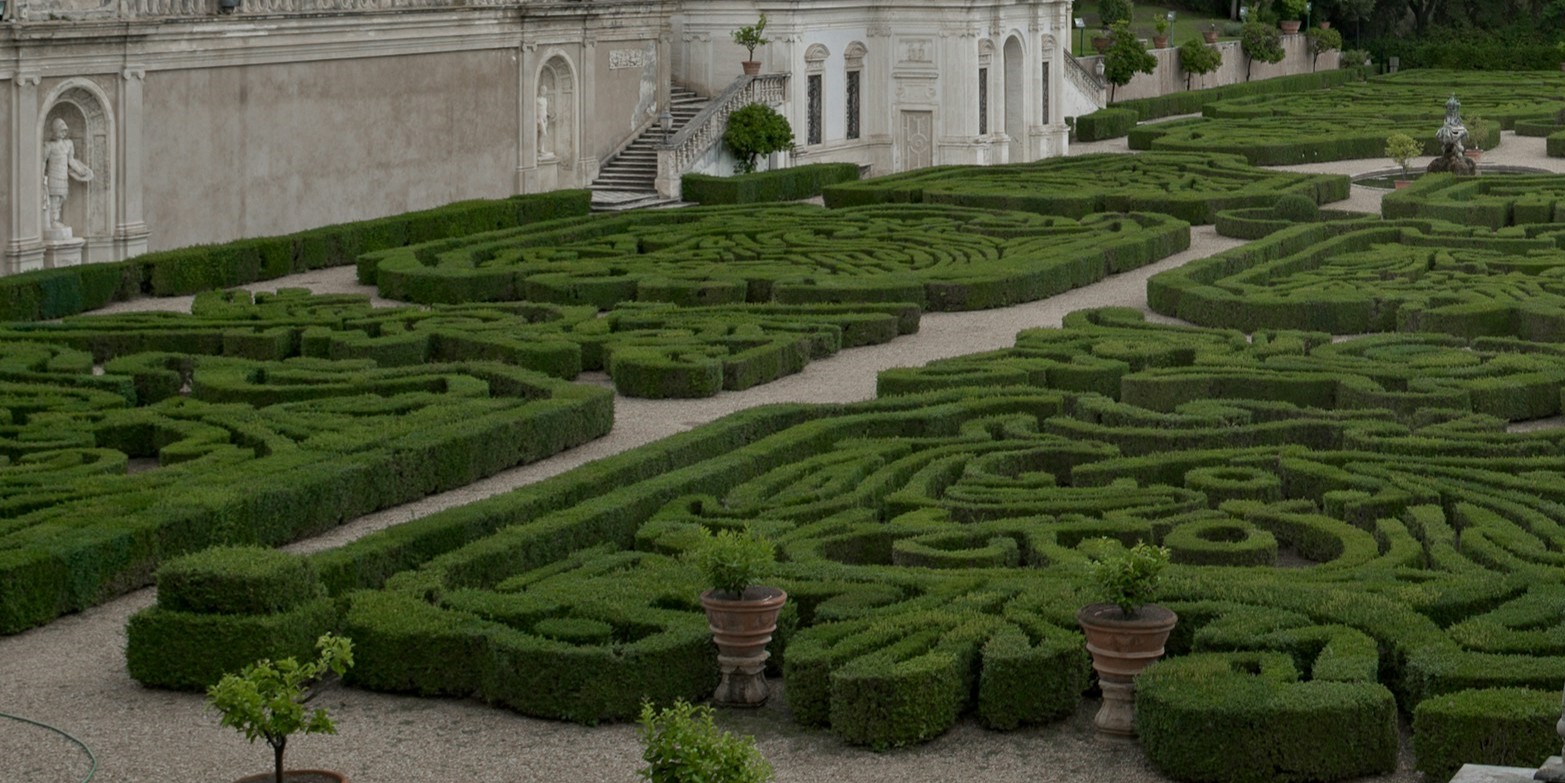 Navigating the Maze: Divorcing a Narcissistic Spouse in Mississippi